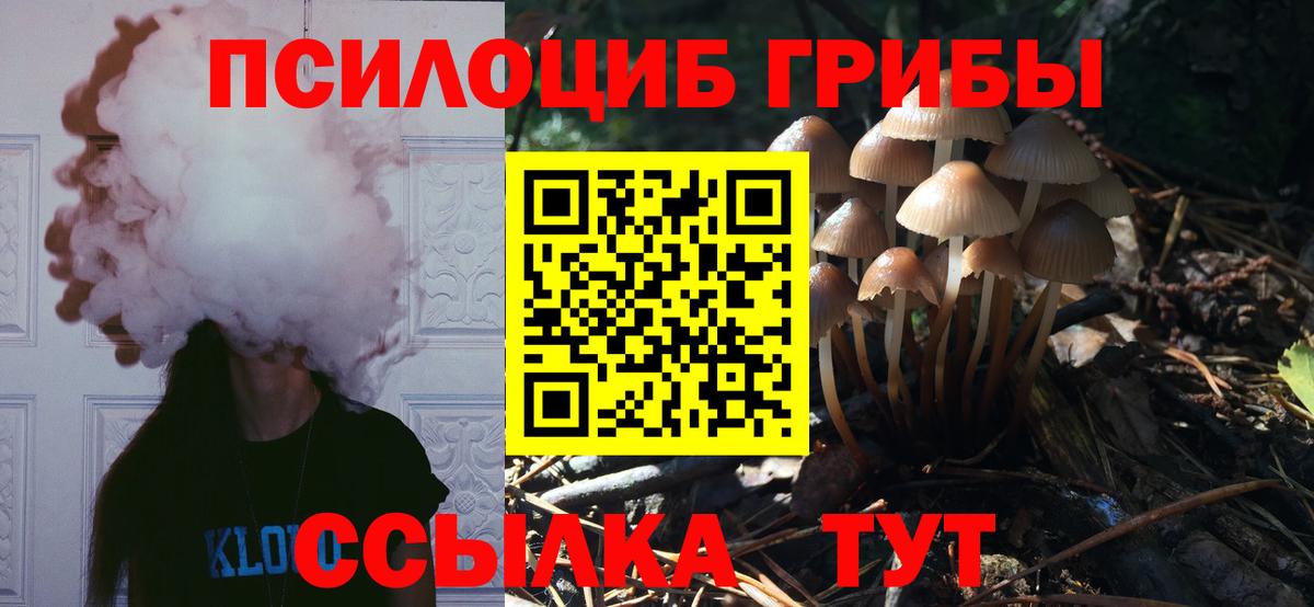 Галлюциногенные грибы GOLDEN TEACHER  купить   Сорочинск  Вход с VPN 